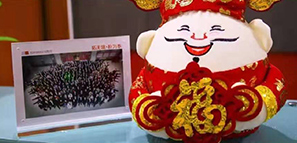 福祿壽喜報道，拓樸設(shè)計給您拜年啦！